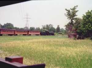 Huckleberry Railroad - meadow